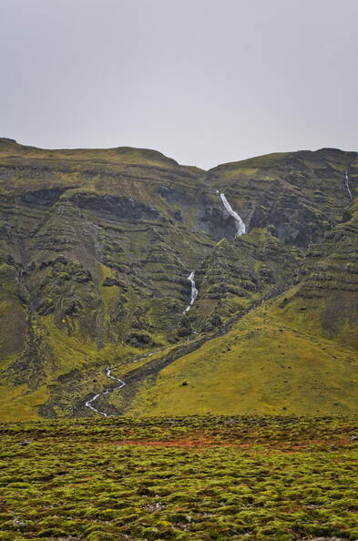 DSC_9590.jpeg